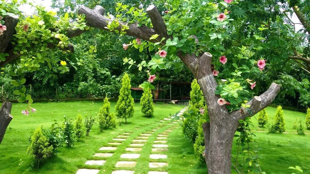 Sparsh Resort & Chalet Kalamb  Екстериор снимка